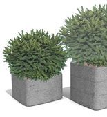 Distintos módulos para las jardineras urbanas de hormigón Square planter.